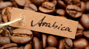 CÀ PHÊ ARABICA CẦU ĐẤT – DÒNG NGUYÊN LIỆU ARABICA TUYỆT VỜI CỦA VIỆT NAM