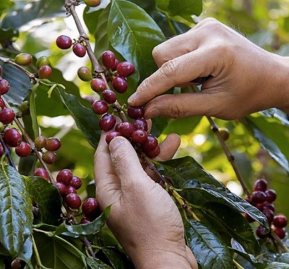 Vì sao chn chúng tôi